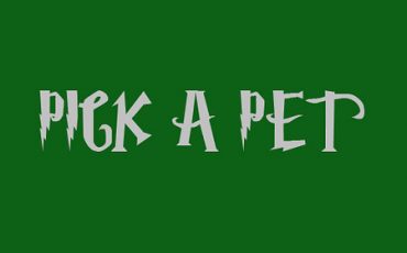 Harry Potter House quiz